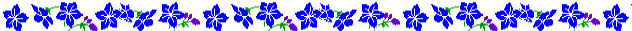 Floral Border