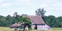 Barn